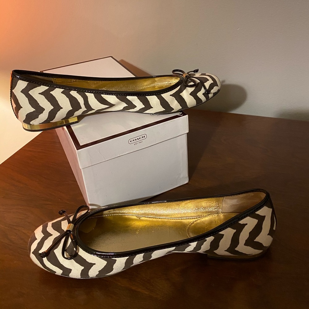 Coach Flats - Lonna Zebra Print